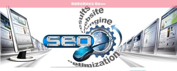 聊城陽谷網(wǎng)站優(yōu)化、SEO與計(jì)算機(jī)軟件開發(fā)銷售一體化服務(wù)解析
